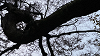 Omichive's Bookshelf: Shibuya-kei vibe 27 Mar 2026 Radio Episode