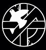 The Peace Industrial Complex W/ Sandra Rachdi