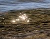 Liquid Mirror: Songs for Budding Beginnings 08 Dec 2025 Radio Episode