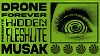 HIDDEN FLESHLITE MUSAK w/ DRONE FOREVER 13 Apr 2026 Radio Episode