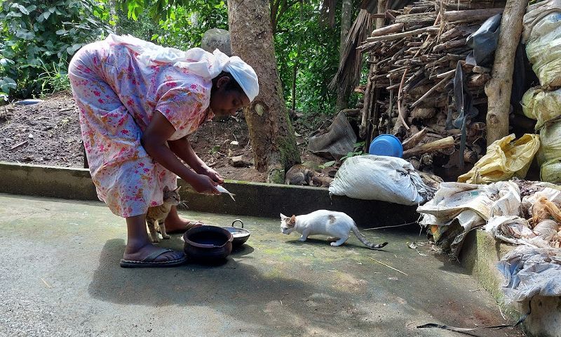 EDUCATE,AGITATE, ORGANIZE! W/ SNOW LEE