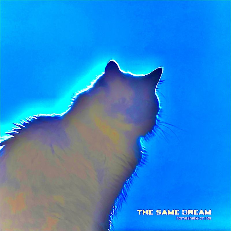 Homeshake - The Same Dream