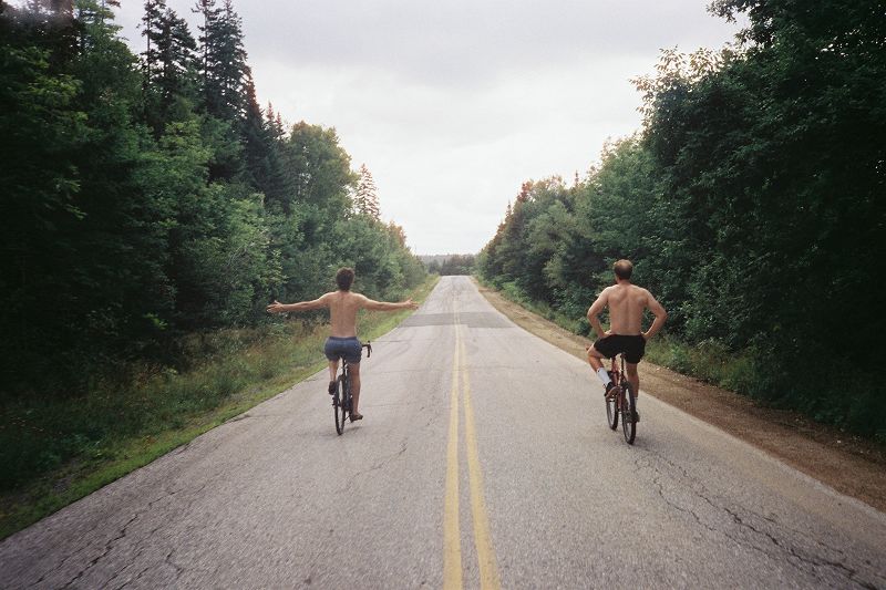 ALWAYS SEARCHING, NEVER PERCHING W/ ALB