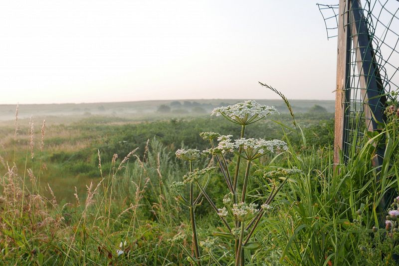 Phil's Jazz Dis-Junction