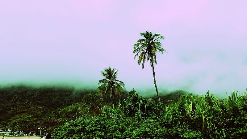 Happy Latincore w/ Warsawlona