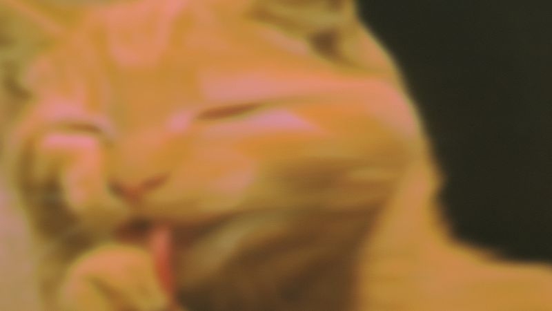 Feeling feelings by Ladyfriend & Hablemos del Alma