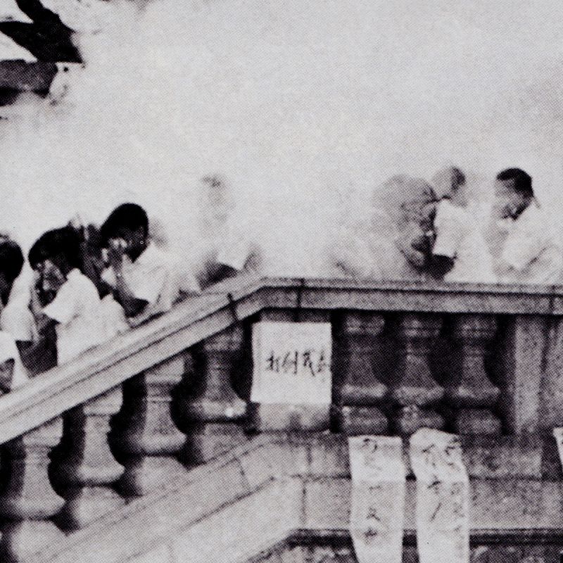 S K Y A P N E A w/ Shelter Press