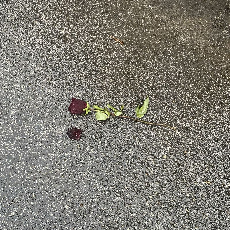 Epitaph for My Heart