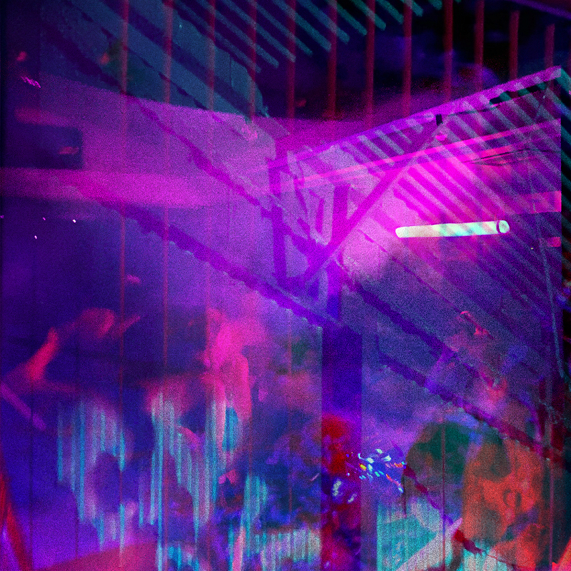 Running, Not Hiding w/ Rhyzine