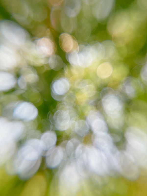 Luke Mele w/ miku-mari