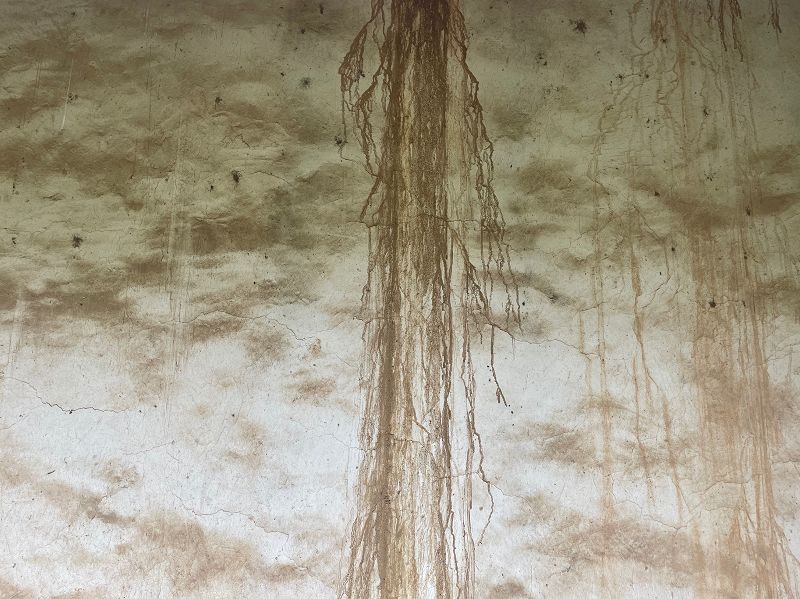 LIVE FROM SHANGHAI: Endy