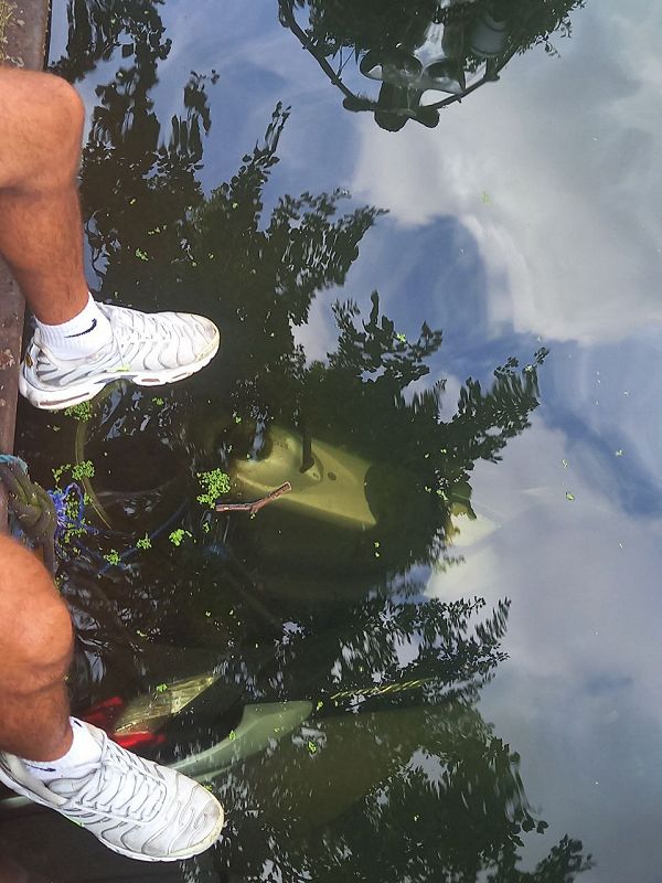 BFDM ZAHEF SHOW w/  KID FRANCIS