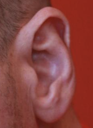 Your Favorite Song: Breath w/ Arto Lindsay & Ben Ratliff