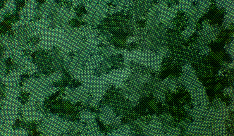 Circle Packing w/ Nick Moss