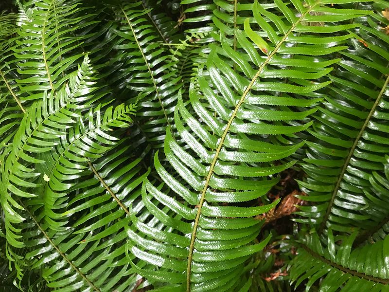 A Month of Sundays w/ Bill Spencer