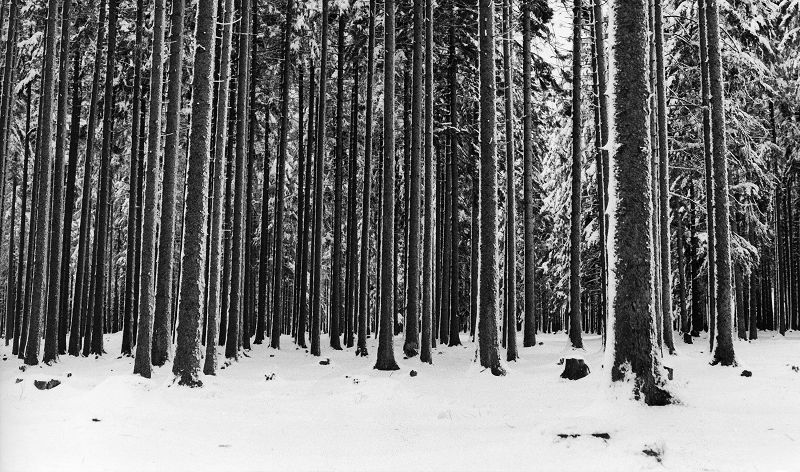 Guitar World: Scandinavian Black Metal