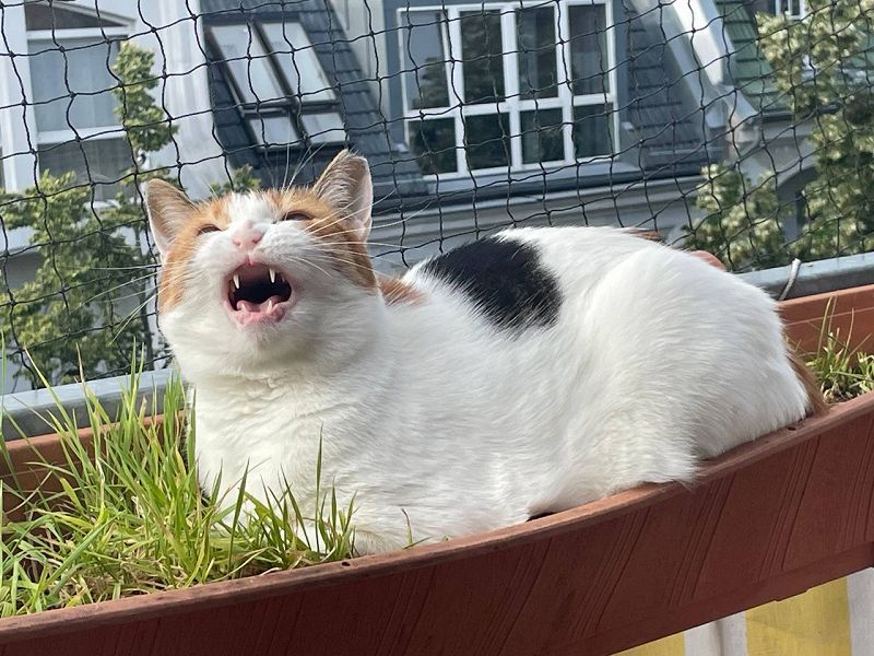 Sacred Pools Goth Night w/ FASO