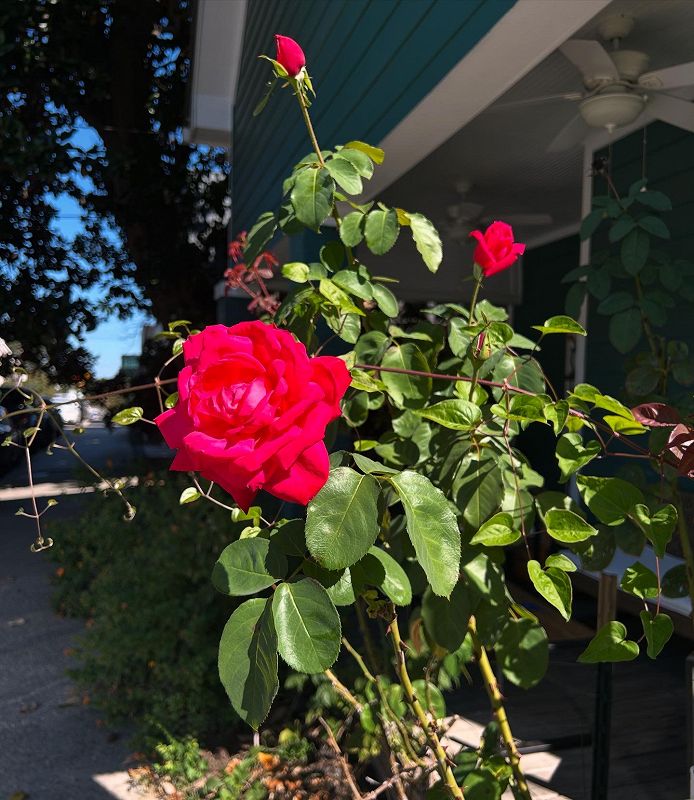 Underground & Black w/ Ash Lauryn