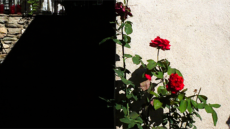 COMME LES PHASES DE LA LUNE W/ NIKI