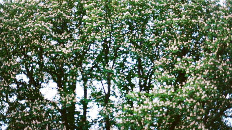 The Early Bird Show w/ PAM & Tom de Peyret 