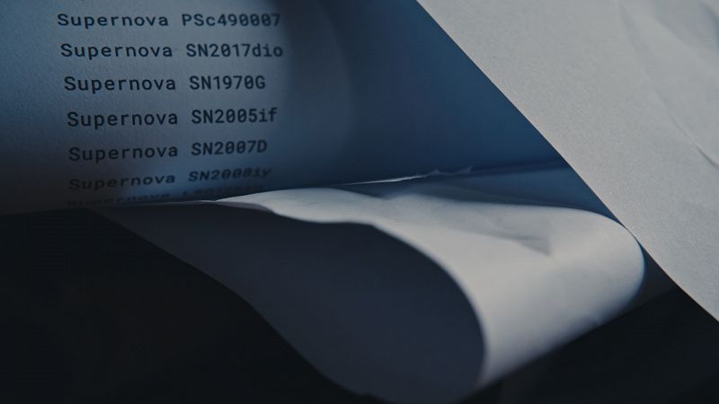 Post Hoc w/ Dane Mitchell