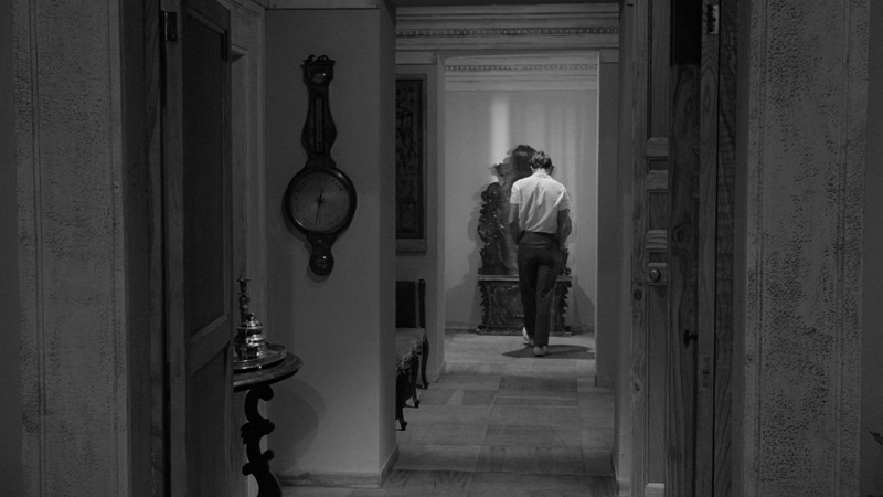 PIERO PICCIONI SPECIAL W/ ROZO