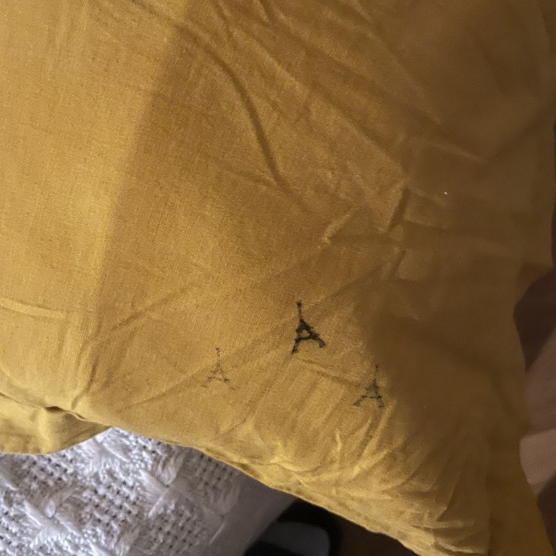 PARIS ADEN - THANK YOU FRANCE