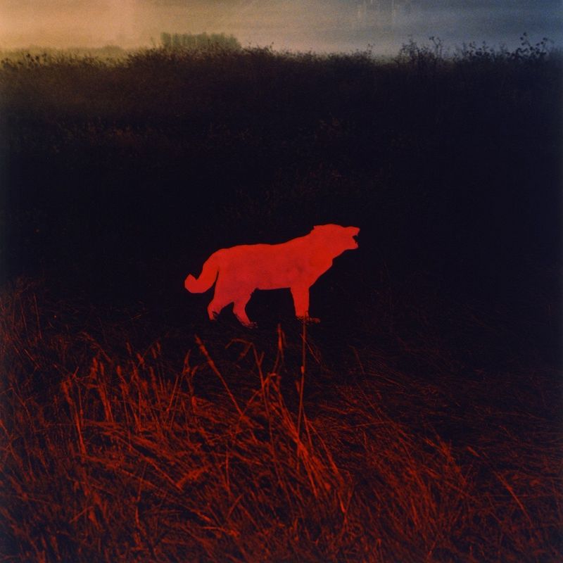 CRUZA: MYLO & SHIVA -  Reconstruct & Revibe