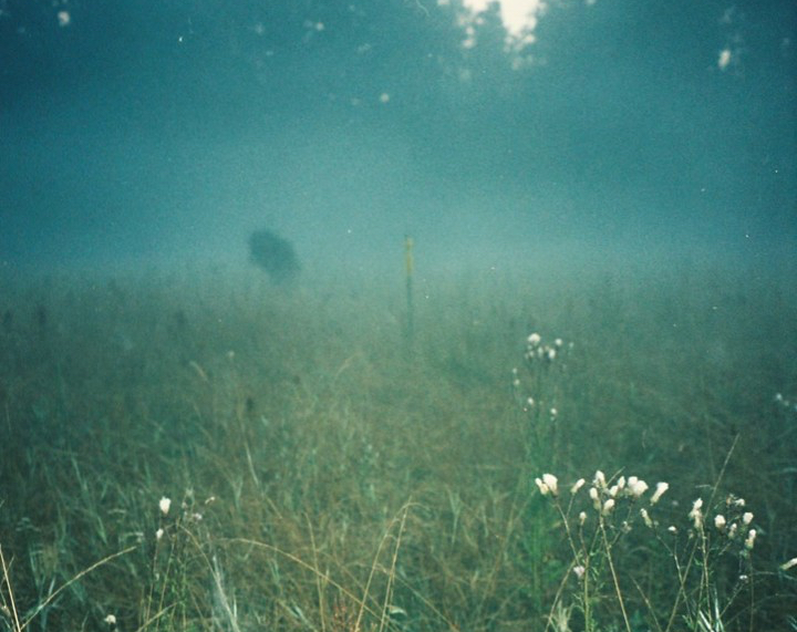 Sofie Birch - Camping Life