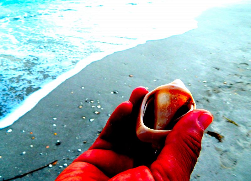 NOISES FROM MEXICO W/ BALAM RONAN