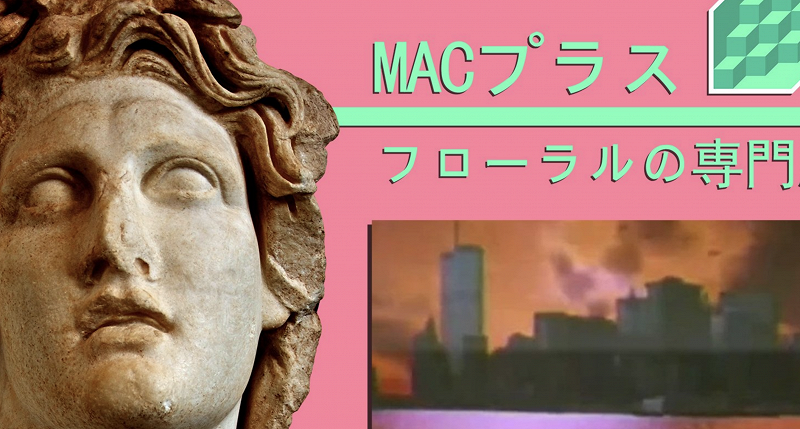 In Focus: Ramona Andra Langley / Vektroid