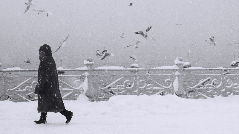 FASNACHT : SWISS AVANT-GARDE W/ LE SALON