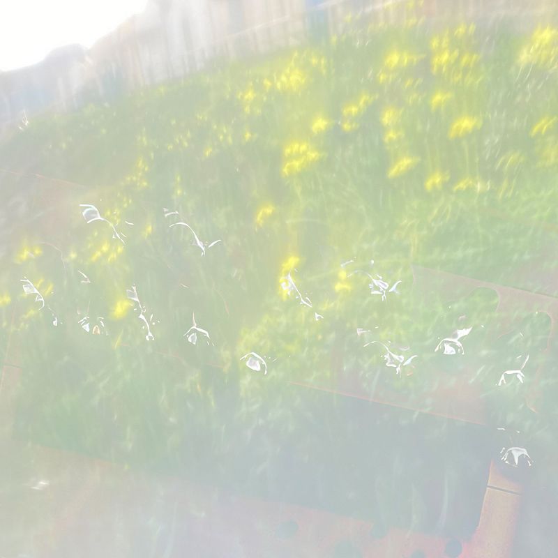 Ikr. Imprint w/ tibslc