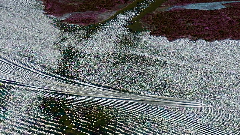 SWAMPY DREAMS W/ FLORENZO