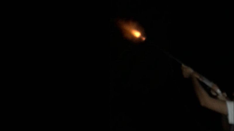 when no 1's around - arborist mix