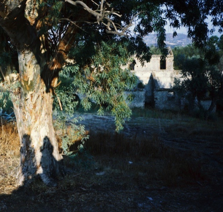 SOFIE BIRCH - Nylon Bliss 