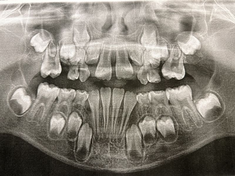 Creep Zone w/ James Pants & Marc Schaller