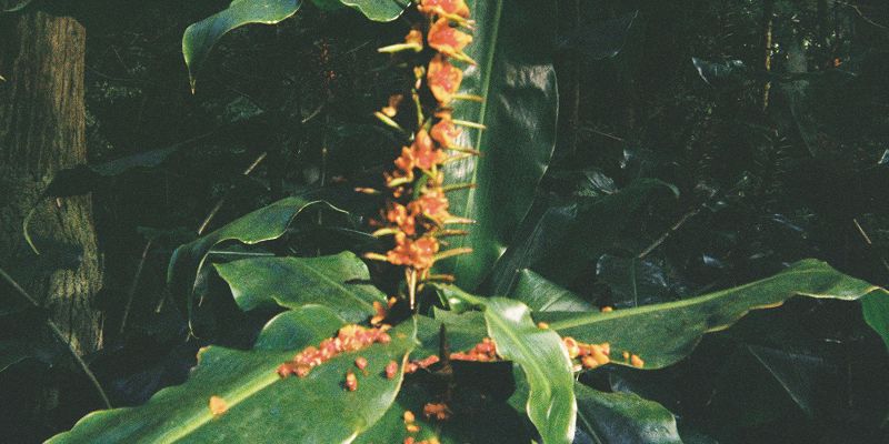 Love is a Conformist