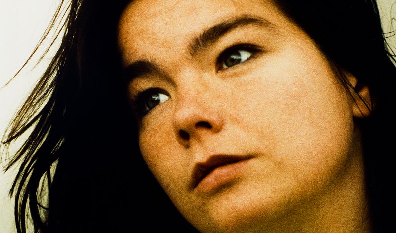 Tommasi - BJÖRK  Special