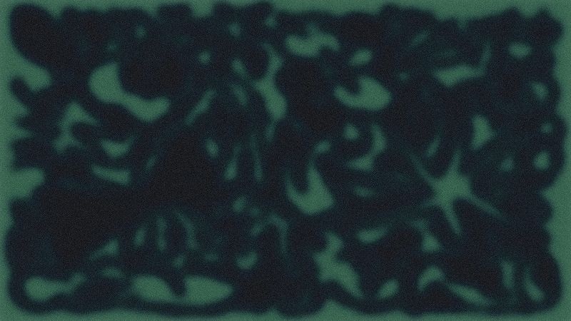 ENTROPY ENSEMBLE W/ JACJ