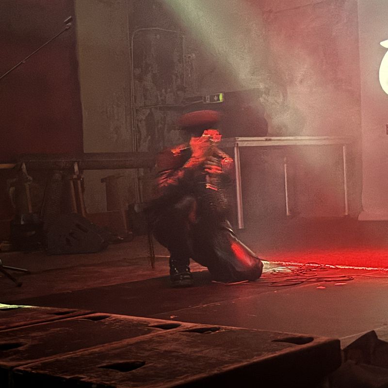 The Lunacy of Flowers w/ Dave ID