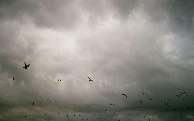 A Month of Sundays w/ Bill Spencer