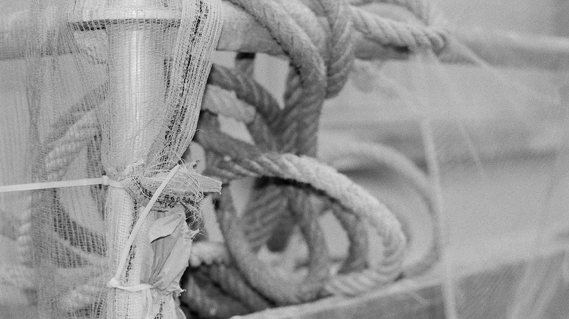 The Early Bird Show w/ PAM