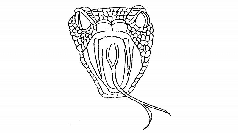 Music 4 Lovers w/ Jabu & Andy Payback