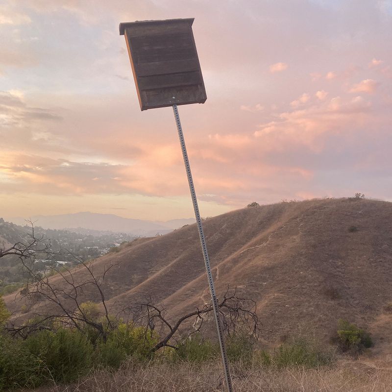 IKR. IMPRINT + GLINT