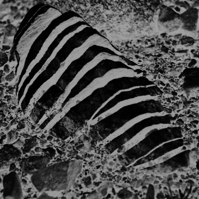 S K Y A P N E A w/ Tarquin Manek