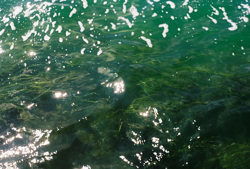 notes on notes that shimmer w/ wet laundry