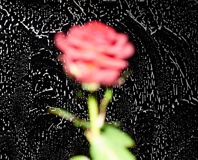 HE4RTBROKEN w/ LIYO & STEFF