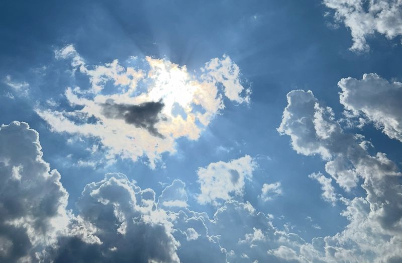 Komorebi w/ tjon-aloi