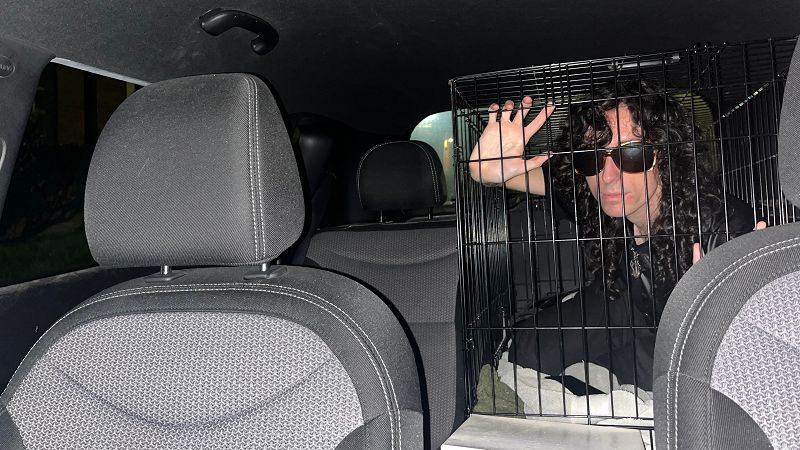 Drifting in the Backseat w/ Cellophane Streets